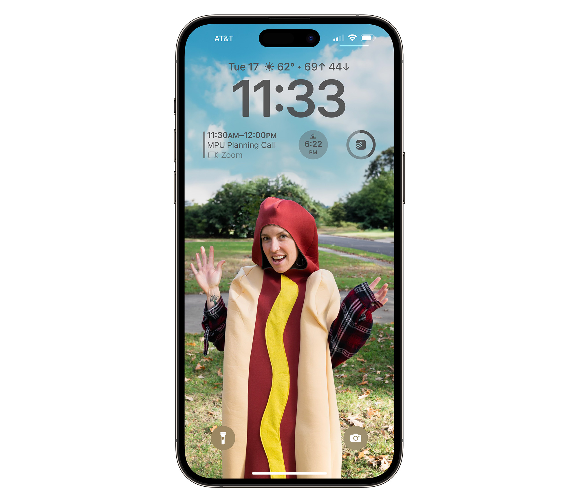 Hot dog Merri wallpaper