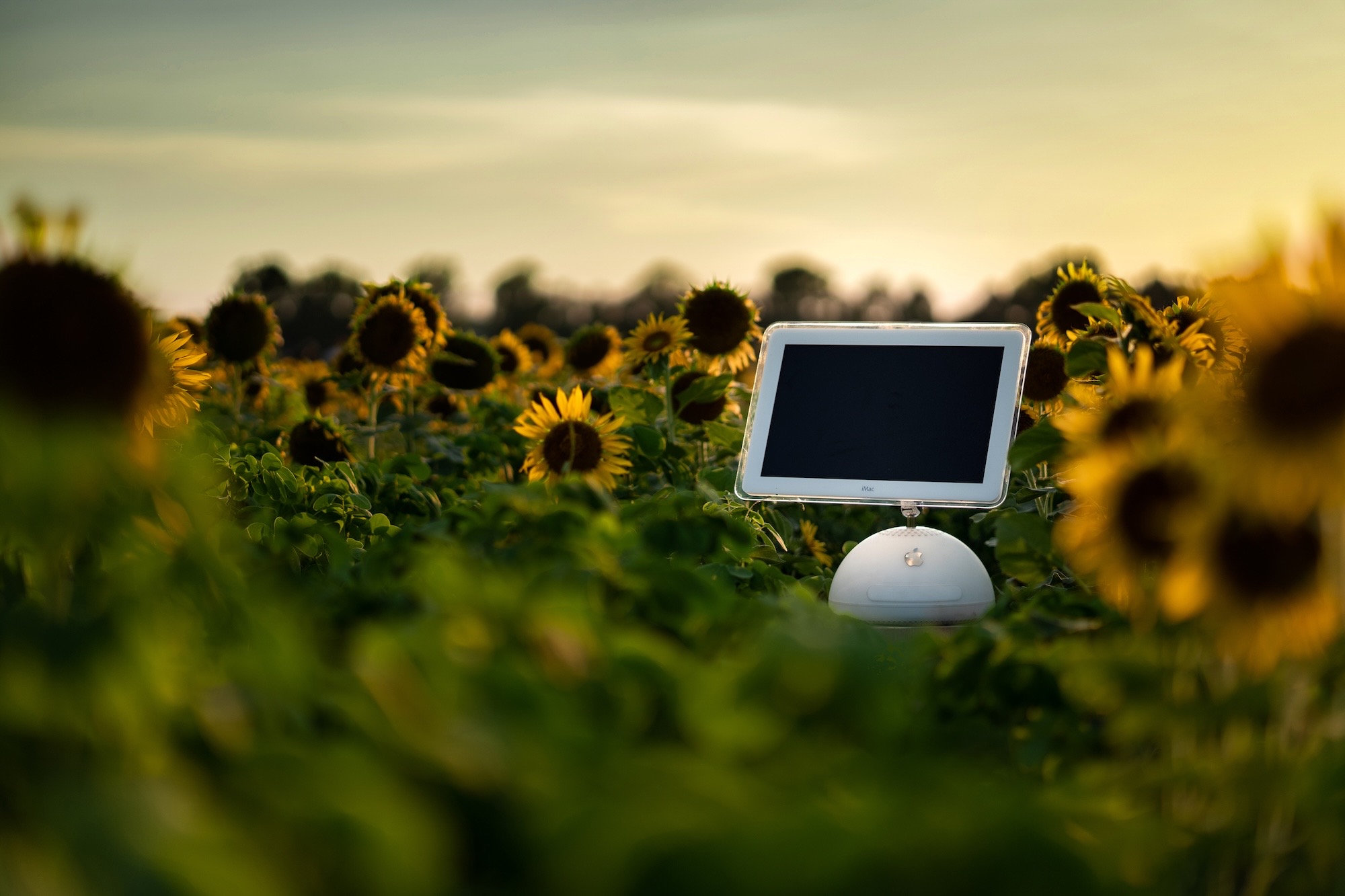 The "Sunflower" iMac G4